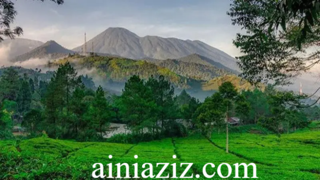 4 Wisata Alam Tebaik di Bogor Paling Instagramable