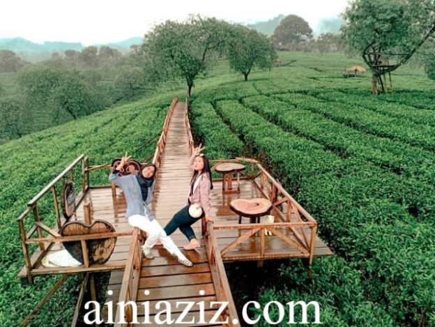 5 Wisata Alam Malang Menyejukkan Mulai dari Pegunungan