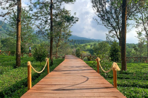 Tempat Liburan Keluarga di Puncak Bogor yang Legendaris